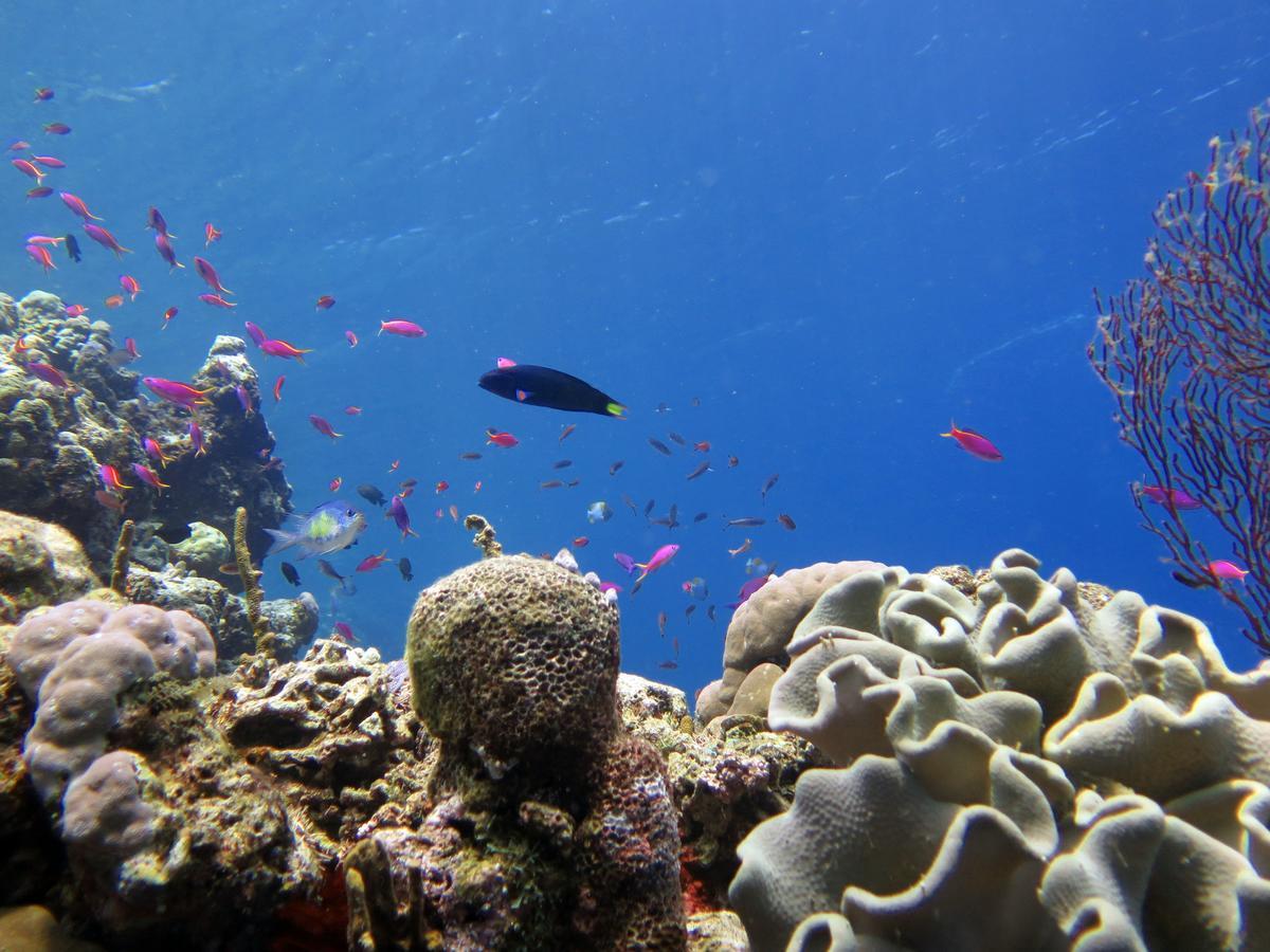 Fatboys Resort Mbambanga Bagian luar foto